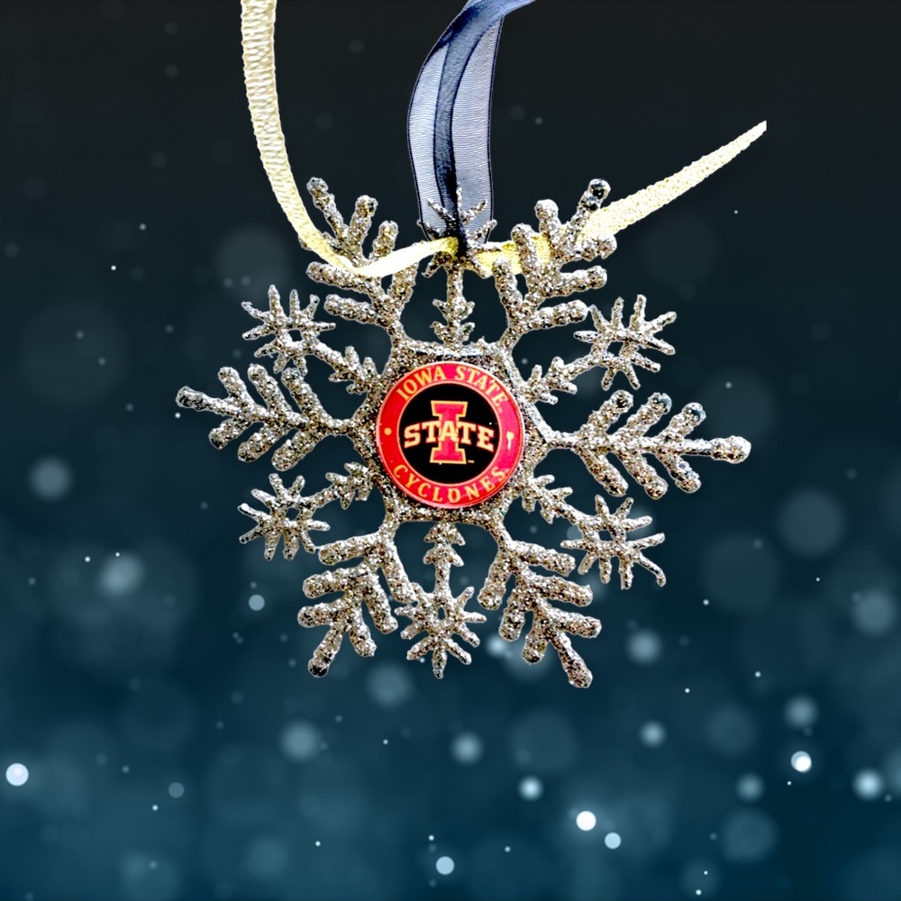 Iowa State CYCLONES Handmade Snowflake *NEW*